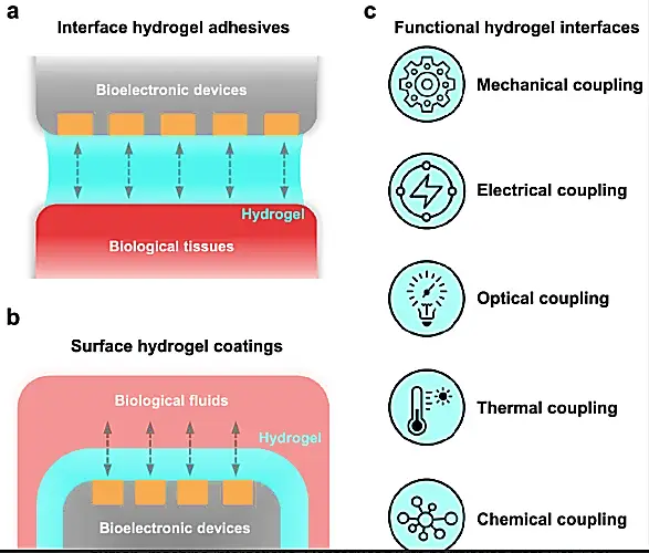 AD_4nXfrvwnNhW3u2q45VraDhkVOXIB8EllCQwN7eHutPtZJL1